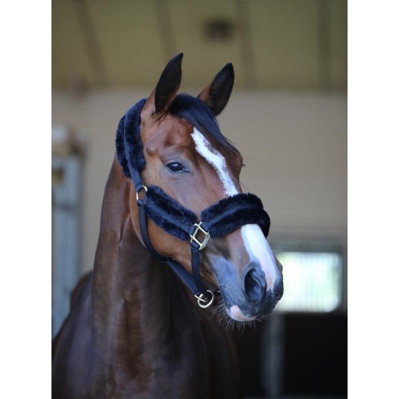 Kentucky Nylon Sheepskin Halter