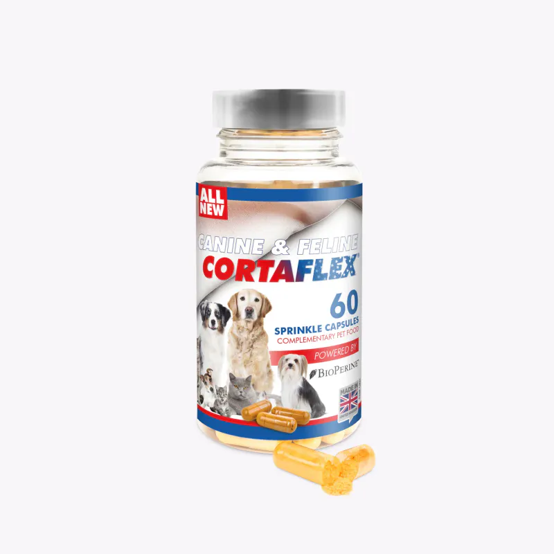 Canine and Feline Cortaflex® Capsules