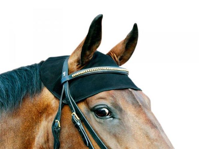 Hovedbilde Back on Track Nakkebeskytter