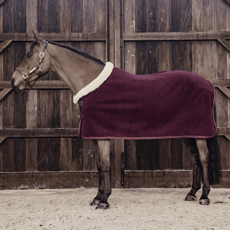 Kentucky Heavy Fleece Show Rug