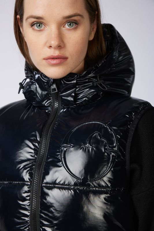 Vestrum Digione vest