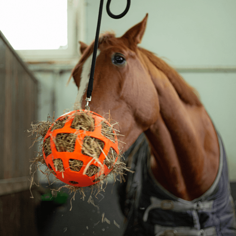 HAY SLOWFEEDER FUN AND FLEX