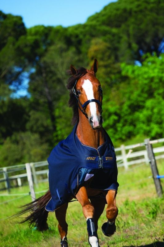 Amigo Bravo 12 100g Turnout/ Navy/electric blue