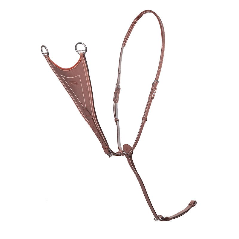 CWD Antibit Martingal