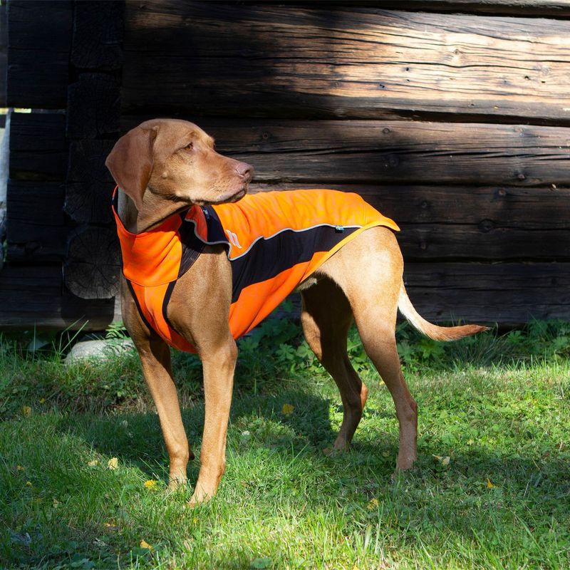 Back on Track hunde dekken