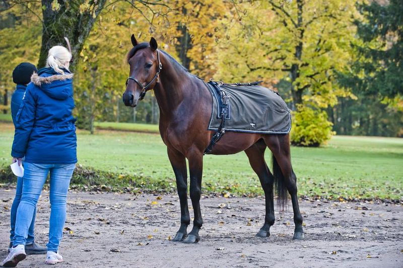 Enstex kjøreteppe, med fleece fôr, svensk modell