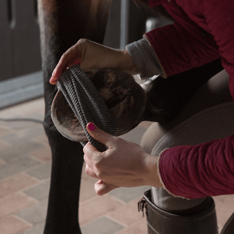 Circulation Hoof Socks