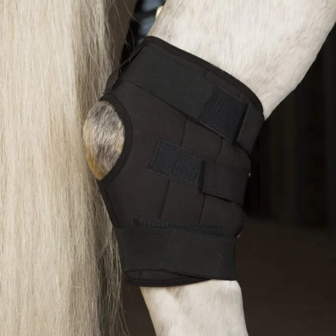 Hovedbilde Circulation Hock Boot