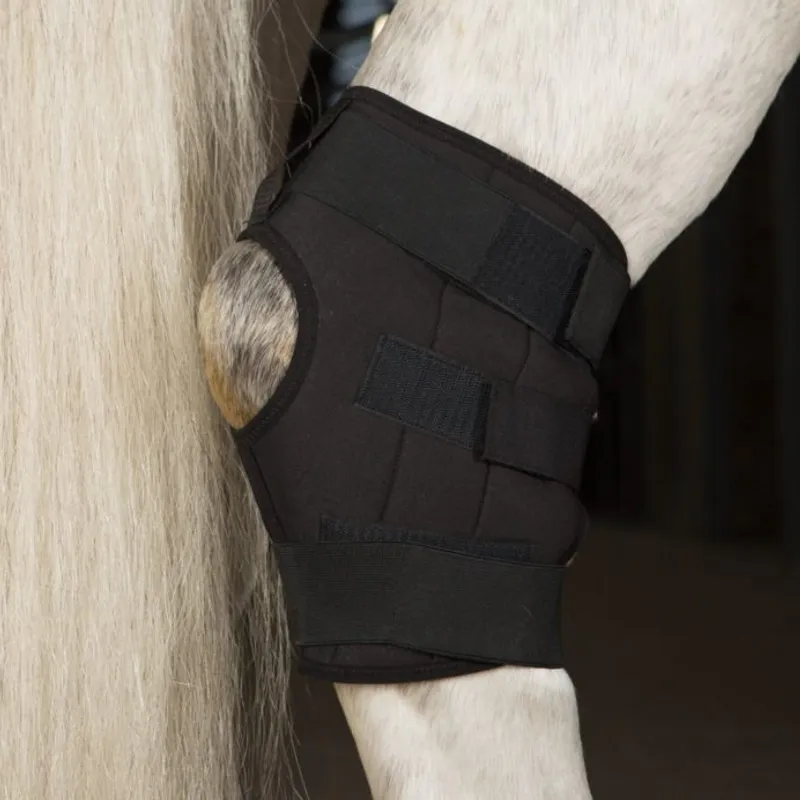 Circulation Hock Boot