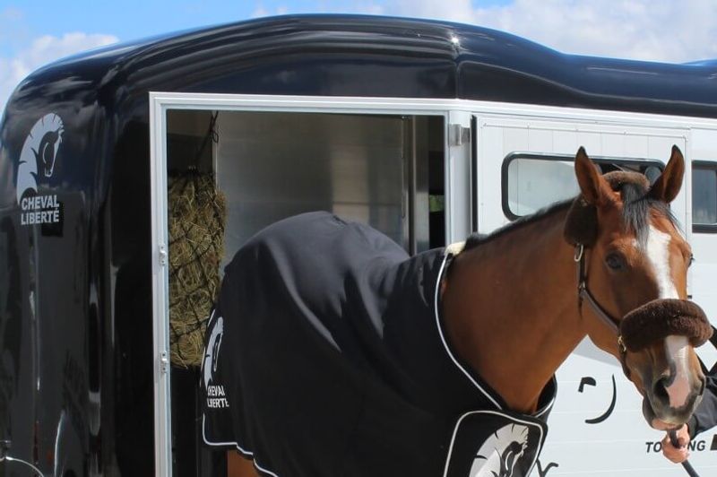 Cheval Liberté Touring Country