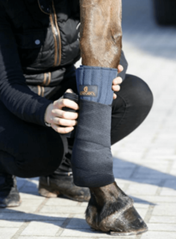 Kentucky Working Bandage Pad Absorb