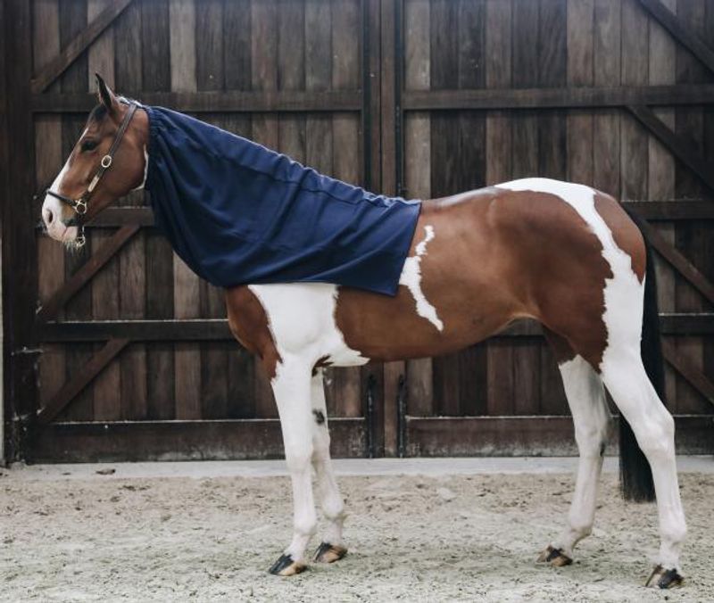KENTUCKY COOLER FLEECE HORSE SCARF