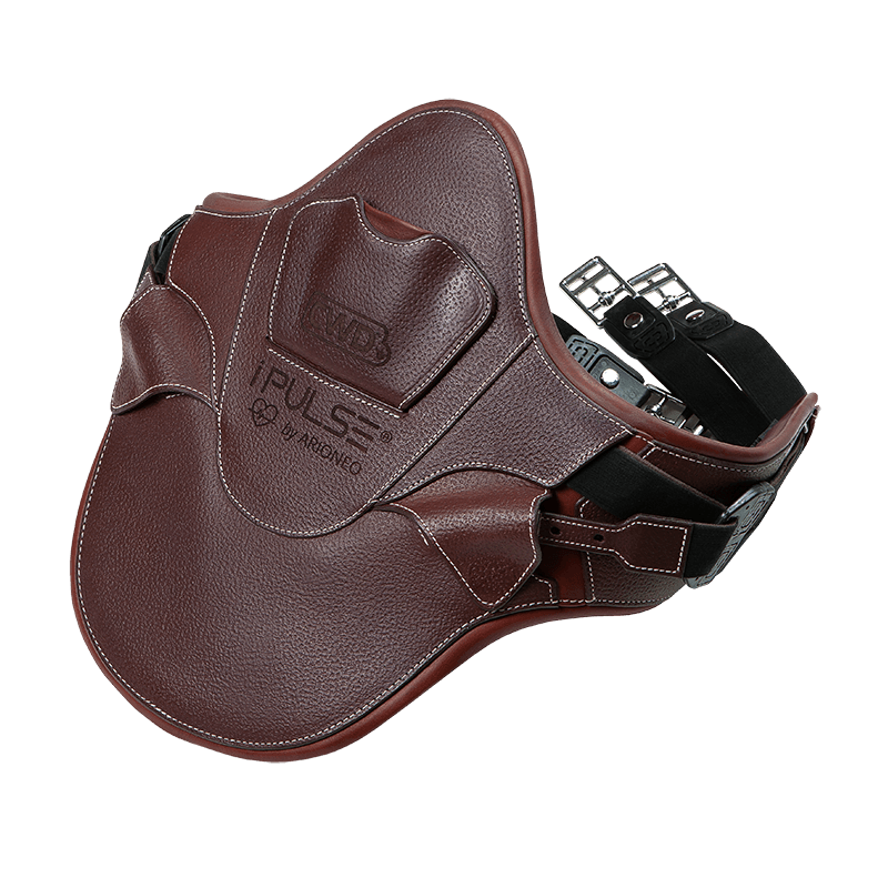 CWD iPulse girth by ARIONEO