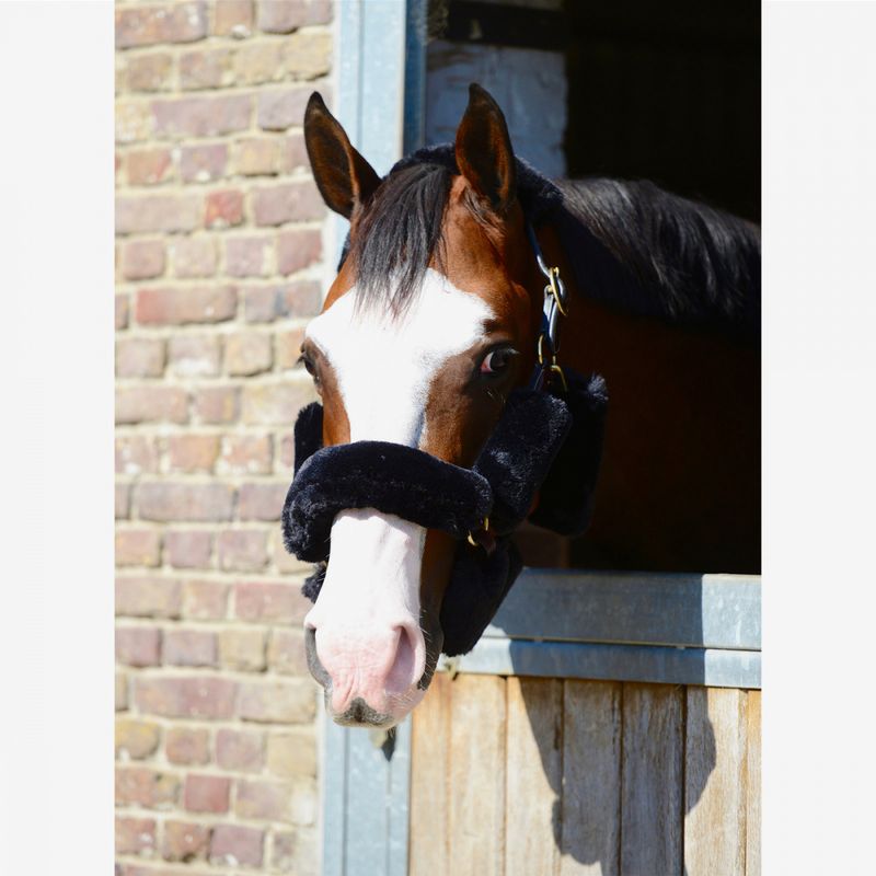 Kentucky Sheepskin Shipping Halter