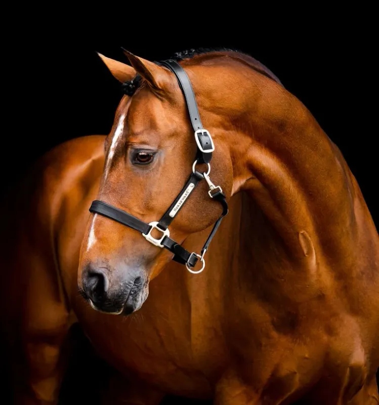 Horseware® Signature Leather Headcollar