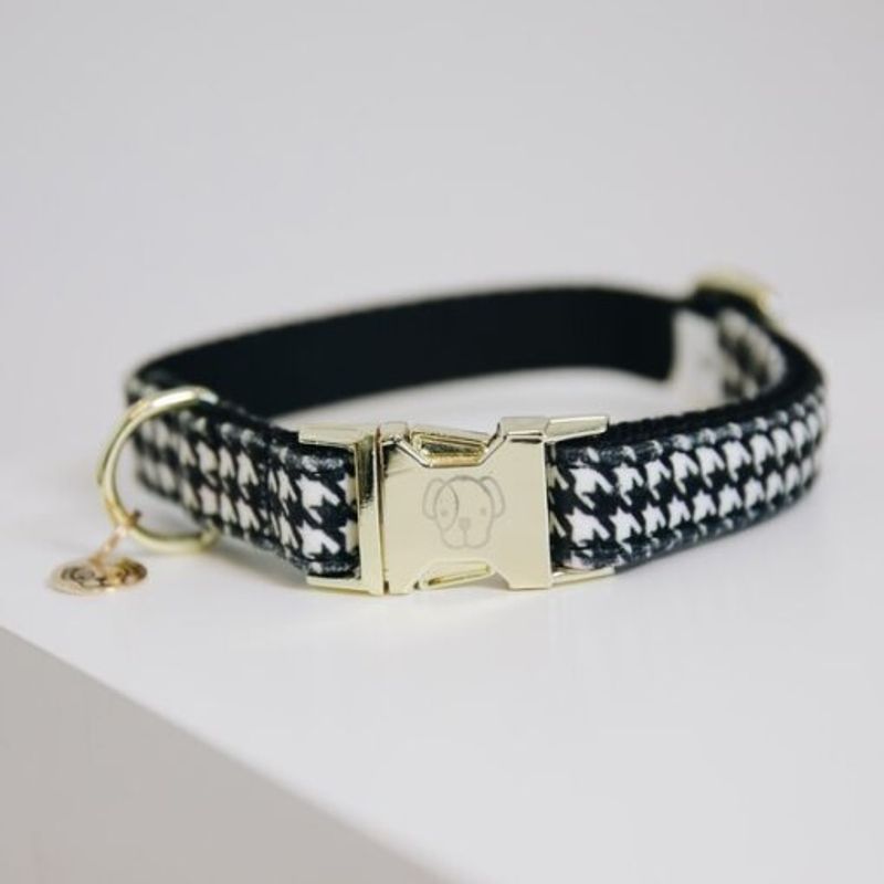 Kentucky Dog Collar Pied de Poule