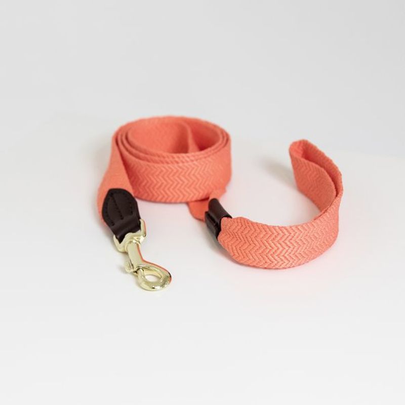 Kentucky Dog Lead Jacquard