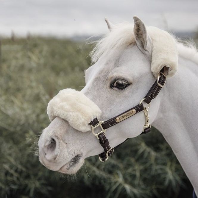 Hovedbilde Kentucky Leather Halter ...