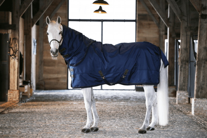 Kentucky Turnout Rug All Weather 300gr