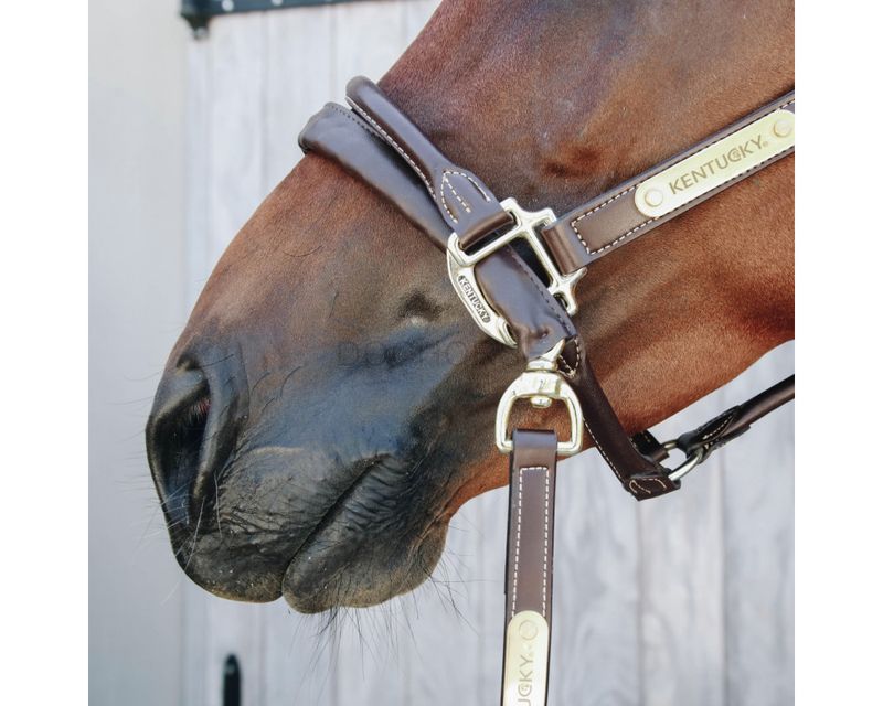 Kentucky Leather Covered Chain Lead