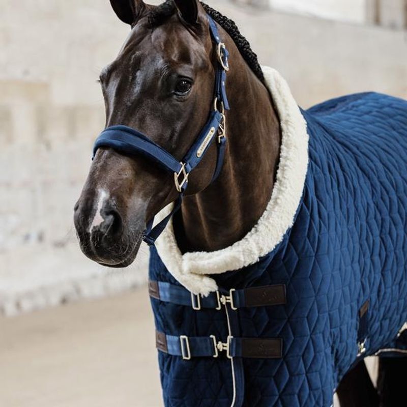 Kentucky Velvet Showrug 