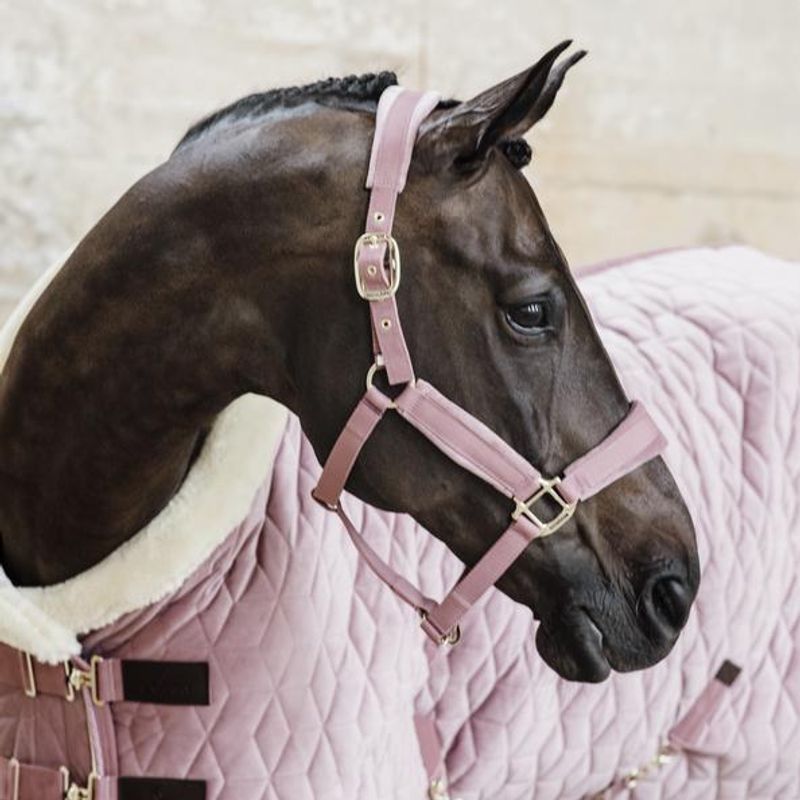 Kentucky Velvet Showrug 
