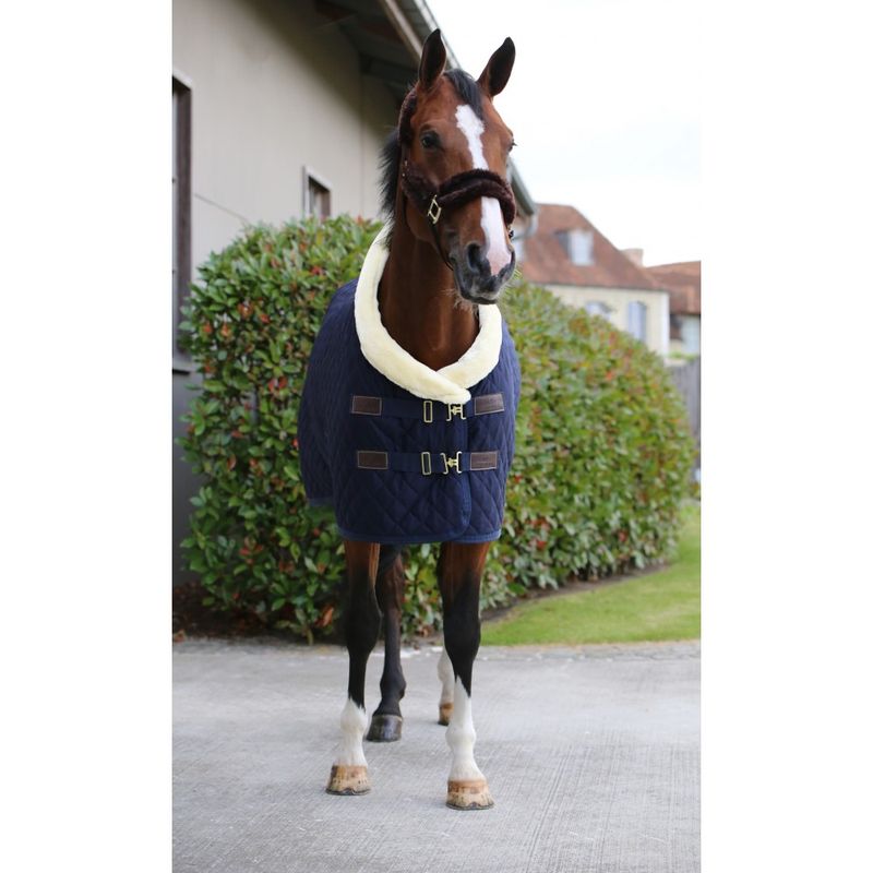 Kentucky Show Rug 160gr