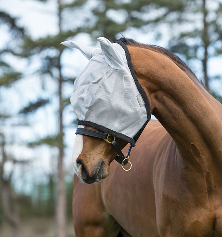 Amigo Fine Mesh Fly Mask