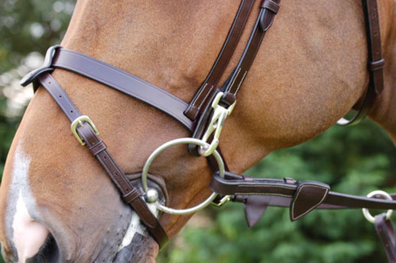 Dyon Working Bridle Flat Nesereim
