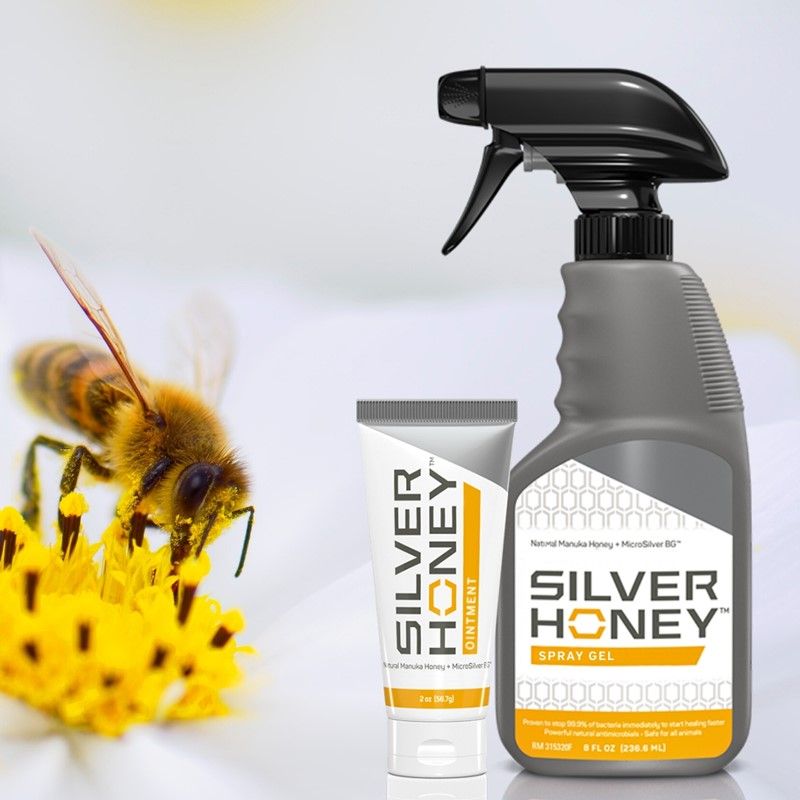 SILVER HONEY ABSORBINE
