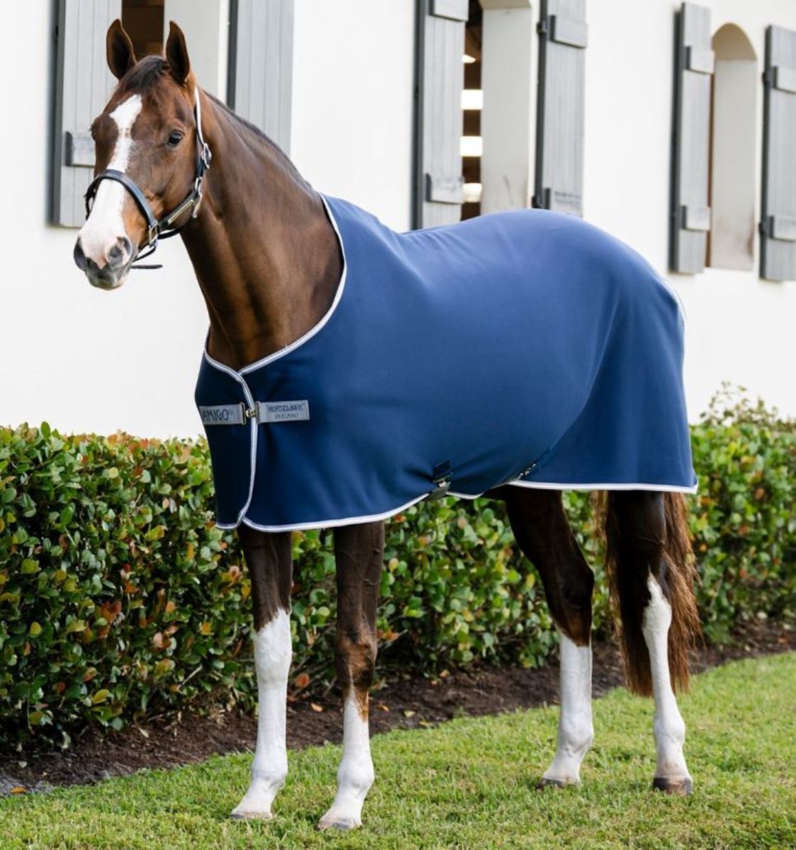 Horseware Amigo Jersey Cooler med eller uten brodering