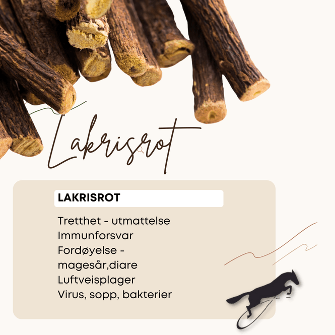 Hovedbilde Lakrisrot Hilton Herbs