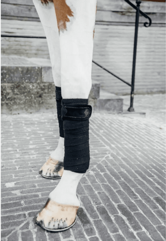 Kentucky Polar Fleece Bandage Velvet Pearls 