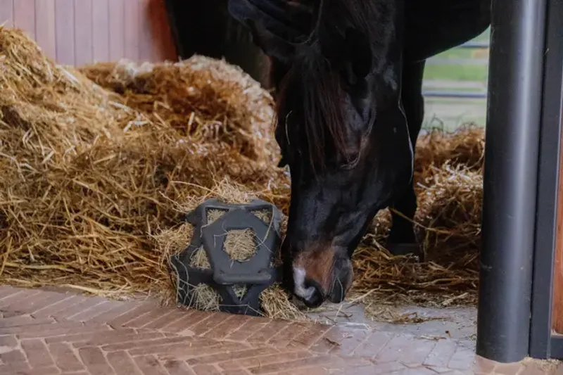  Kentucky Relax Horse Play & Hay Ball