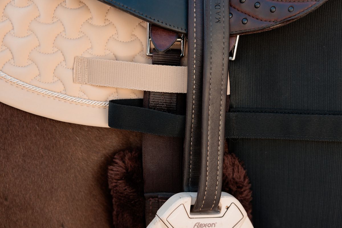 Kentucky Belly Band Horse (body bandage)