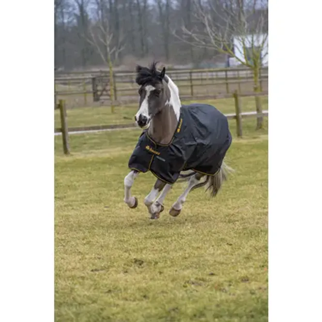 Hovedbilde Bucas Irish Turnout Light