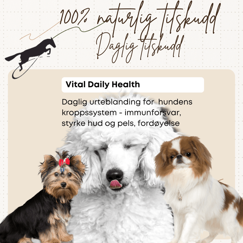 Vital Daily Health Hilton Herbs