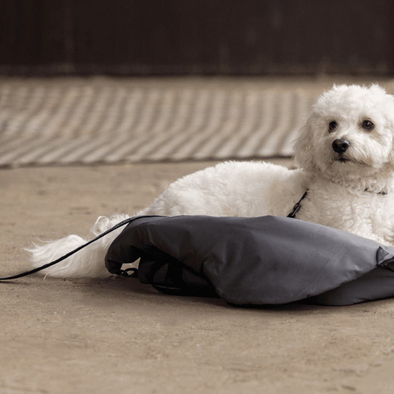 KINGSLAND MACEY Dog blanket bag