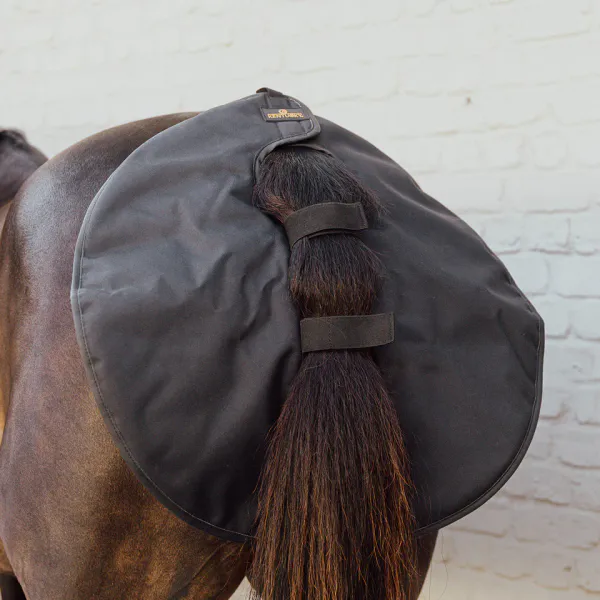 Hovedbilde Kentucky Quarter Guard