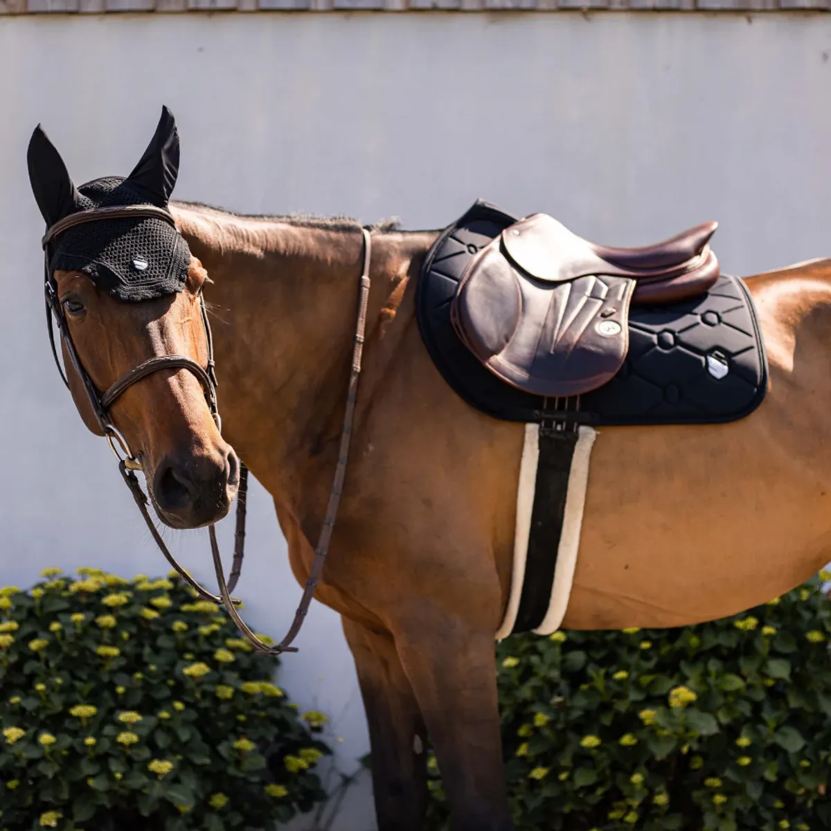 Samshield SpineShield Embroidery saddle pad jumping