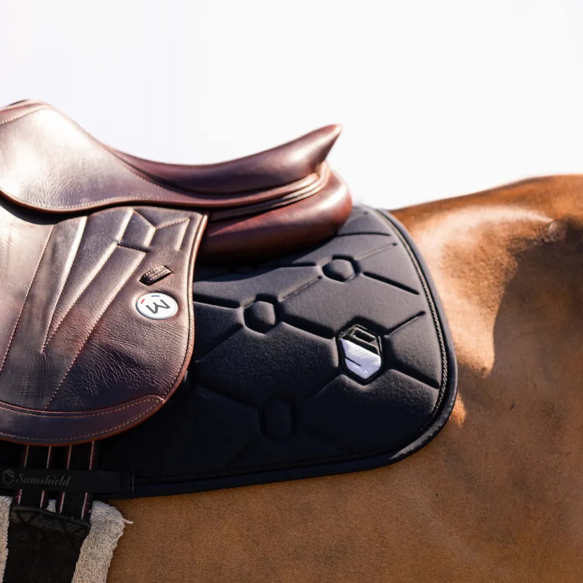 Samshield SpineShield Embroidery saddle pad jumping