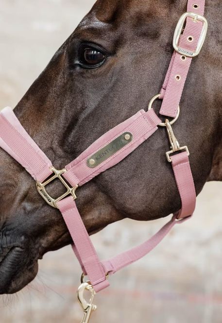 Hovedbilde Kentucky Velvet Halter