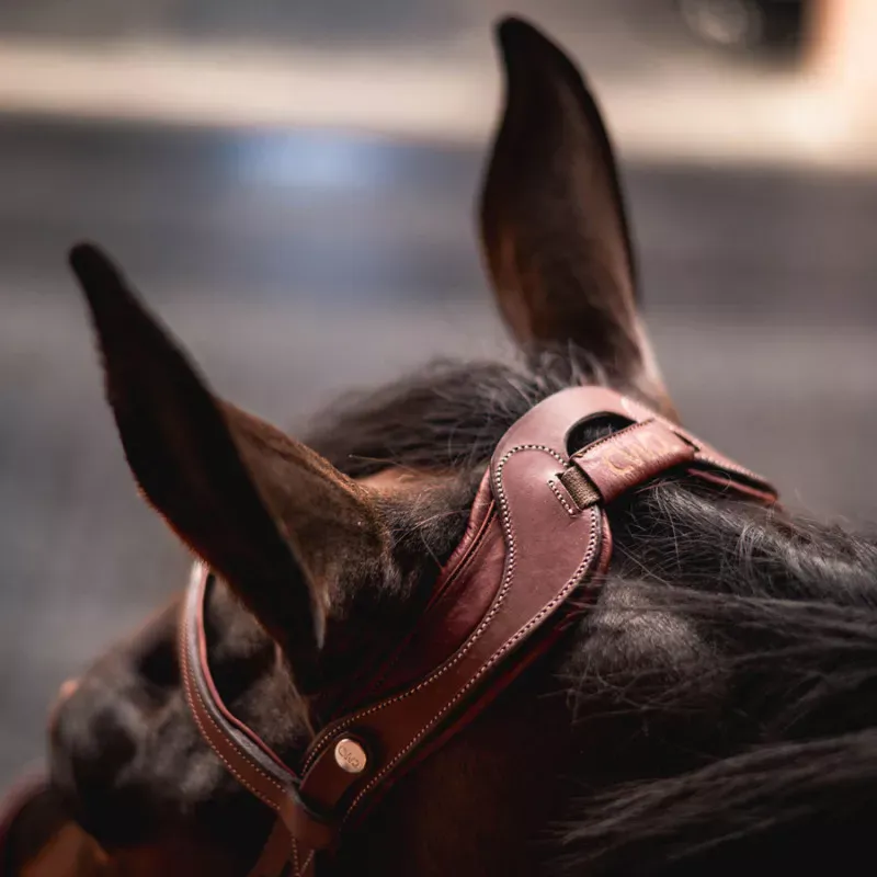 CWD FlexMotion Bridle 