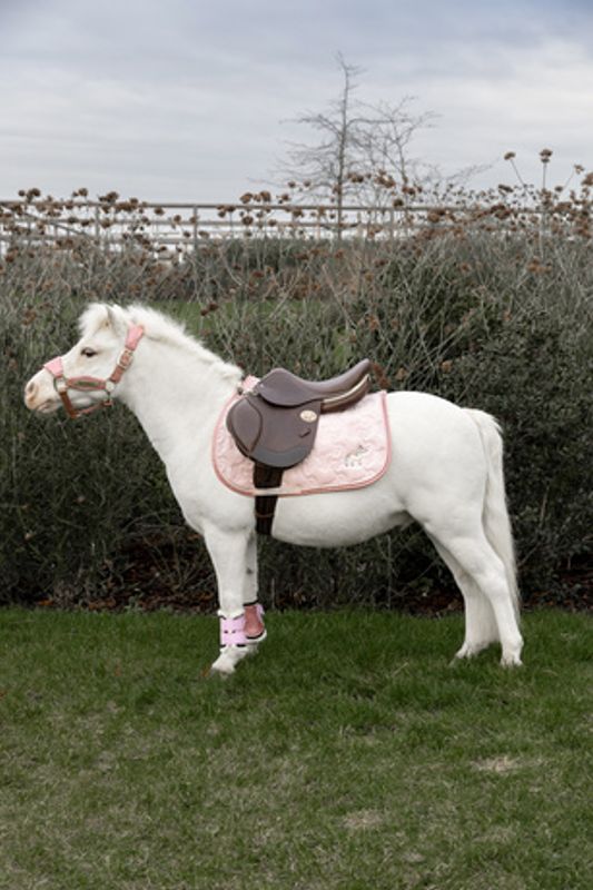 Kentucky Saddle Pad Unicorn Head Glitter Jumping