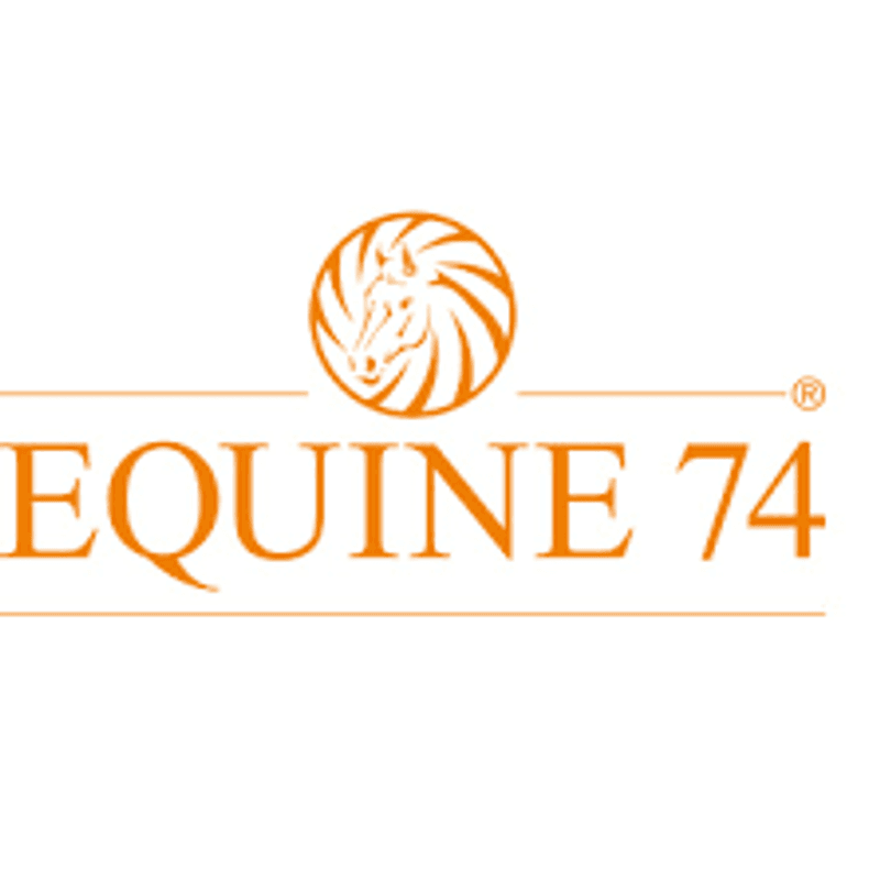 Equine 74 Gastric - 2 kg - Powder