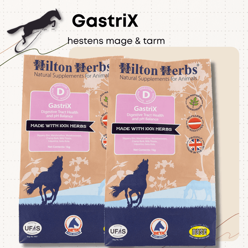 GastriX Hilton Herbs