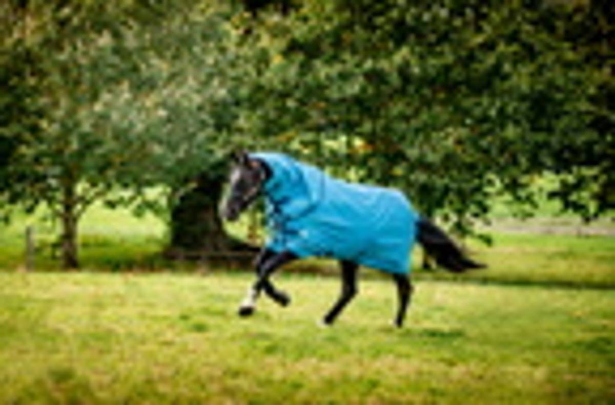 Amigo Hero 900 Revive Plus 200g Turnout Rug - Ocean Blue
