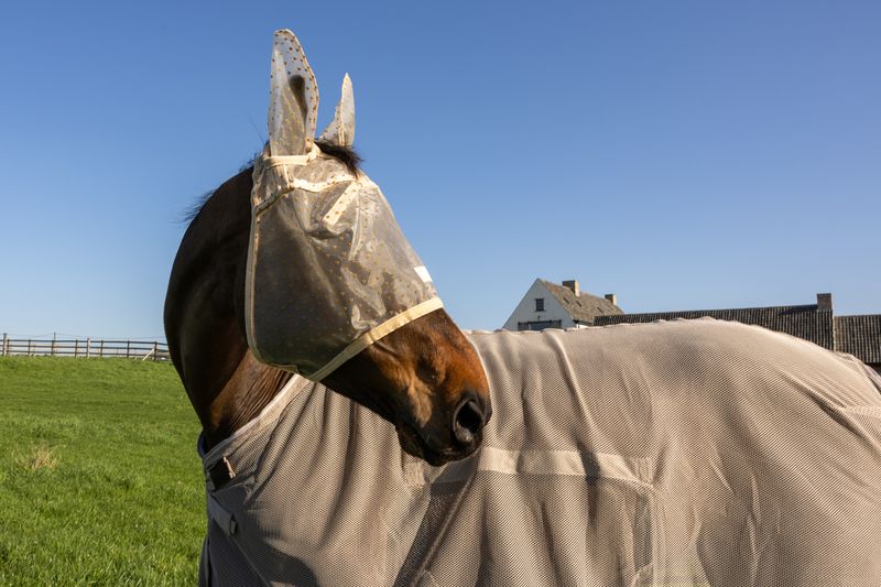 Kentucky Fly Mask Heart w/Ears And Nose 