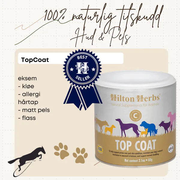 Hovedbilde Top Coat Hilton Herbs