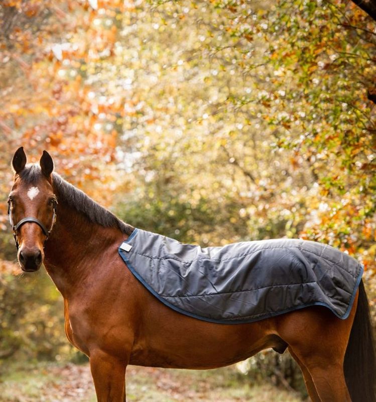 Rambo® Autumn Series Turnout
